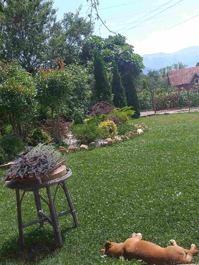 Villa Silva Ohrid Extérieur photo