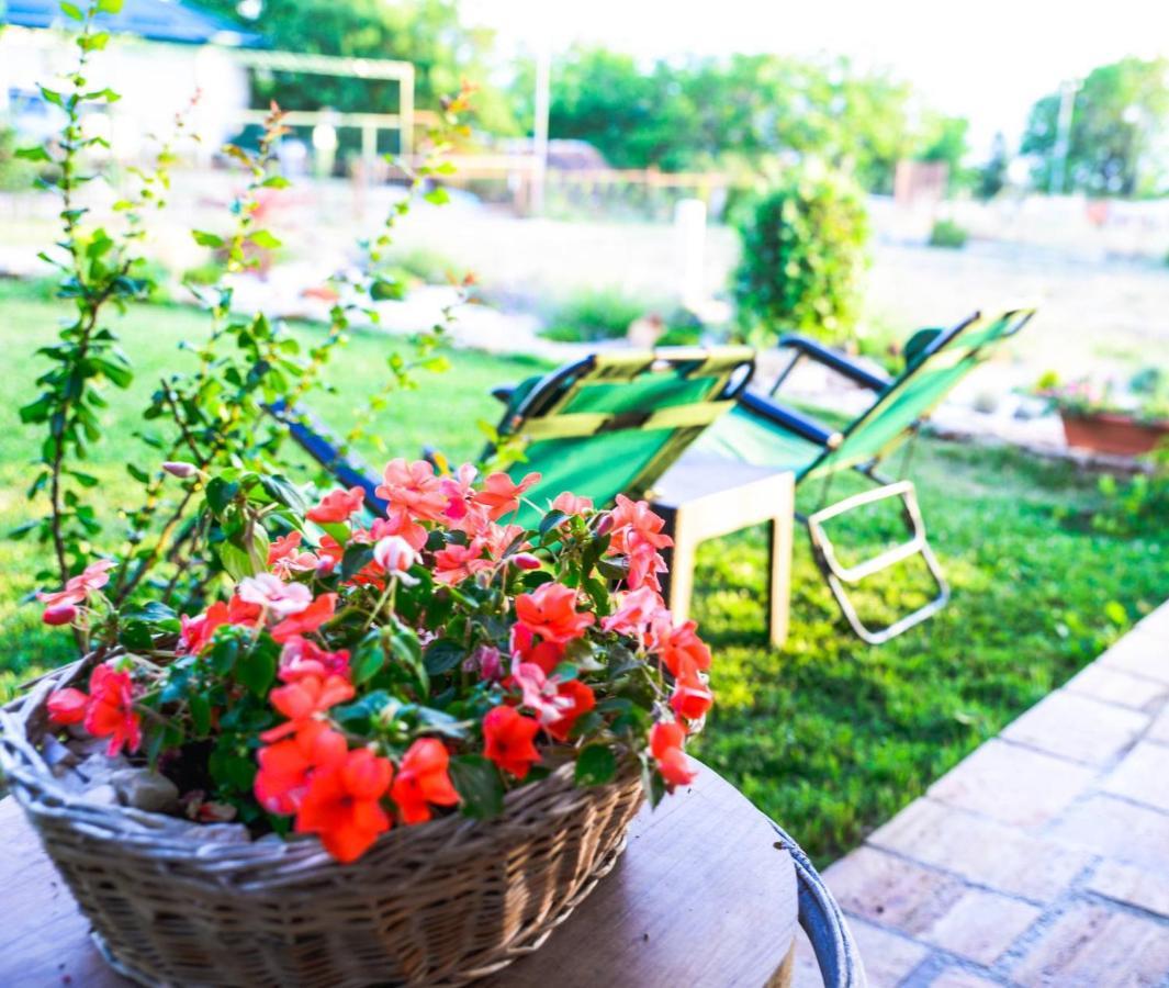 Villa Silva Ohrid Extérieur photo