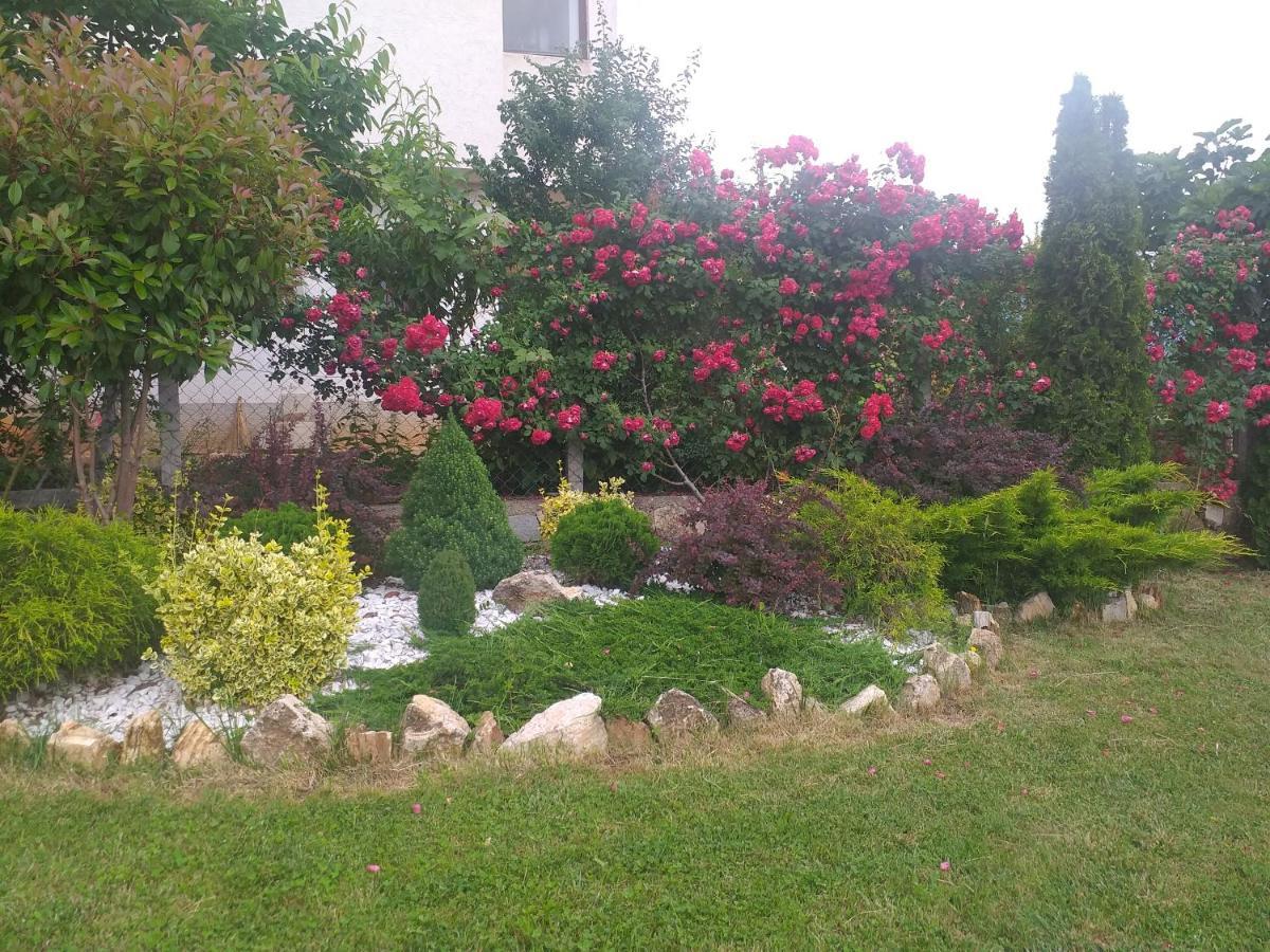 Villa Silva Ohrid Extérieur photo