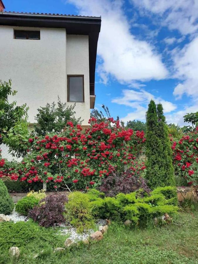 Villa Silva Ohrid Extérieur photo